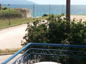 Nestor Sea Studio